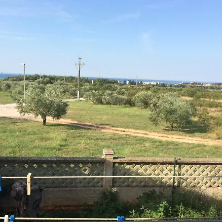 Rosello With Private Parking Place 50m From The Novigrad (Istria)